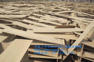 誠(chéng)招琵琶代理 河南蘭考民族樂器廠產(chǎn)品詳情及合作機(jī)會(huì)