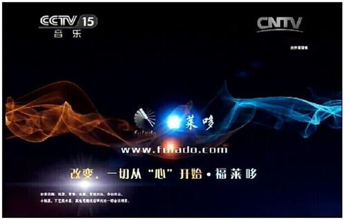 福萊哆樂器城 專業(yè)樂器零售與精致店鋪體驗(yàn)