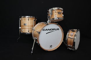 日本打擊樂(lè)器代購(gòu)指南 價(jià)格、二手市場(chǎng)與購(gòu)買渠道全解析